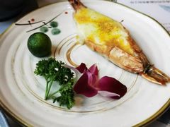 -衣川小森林·料理·寿司(鸿铭中心店)