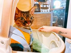 -Brut Eatery悦璞食堂(愚园路店)