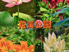 -花溪公园