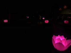 -朱家尖蜈蚣峙码头