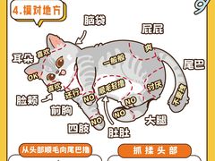 -Bastet sally猫舍购宠(静安店)