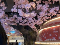 -礼舍·和牛火锅·烤肉·料理餐厅(华茂店)