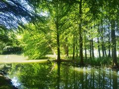 -梁鸿国家湿地公园