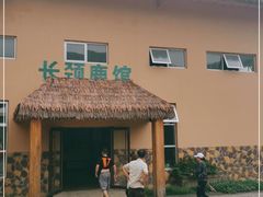 -青岛森林野生动物世界