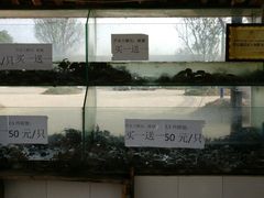-军山湖云水间水上餐厅(进贤店)