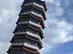 -金塔沙漠胡杨林景区