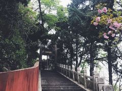 -孤山景区-孤山寺