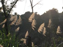 -火炉山森林公园