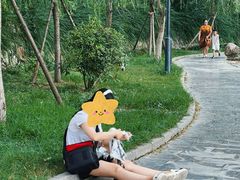 -莲湖公园