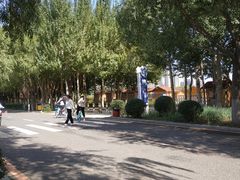 -丁香湖公园