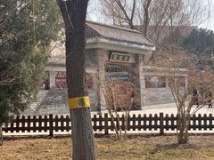 -莲花池公园