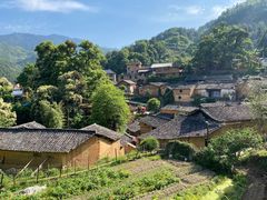 -杨家堂村