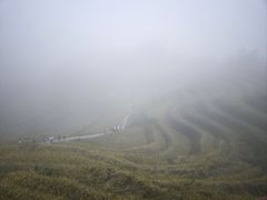 -紫鹊界梯田景区