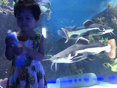 -石家庄海洋公园
