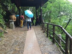 -东天目山风景区