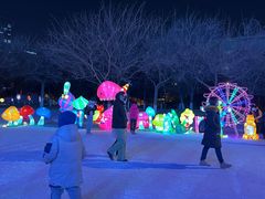 -沈阳奥体冰雪嘉年华