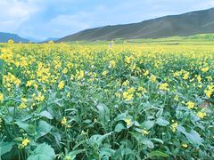 -扁都口生态休闲旅游区