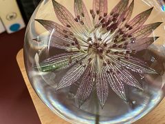 -二酉书店TOYOU BOOKS