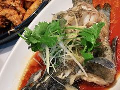 -T11生鲜超市(朝阳公园店)