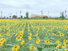 -中国天府农业博览园