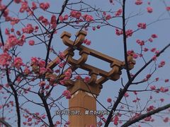 -广富林郊野公园