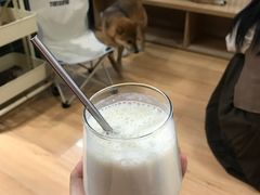 -是阿柴呀！柴犬咖啡·爱喵喵猫咖