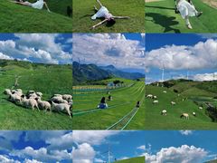 -东江湖旅游区