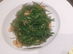 -老阿妈蒙古村·蒙古包·草原文化·歌舞表演(老君堂店)