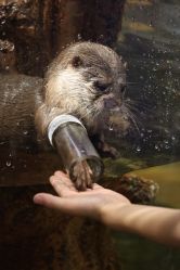 -Zoolung Zoolung动物主题公园(海信广场店)