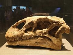 -世界恐龙谷景区