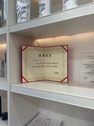 -YESIDO椰岛造型