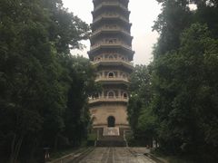 -灵谷景区