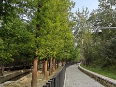 -白水寺森林公园