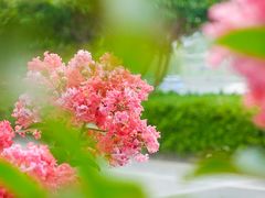 -杭州城北体育公园