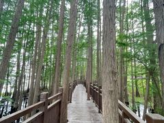 -东湖落雁景区