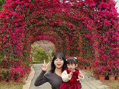 -东莞植物园