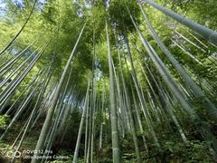 -山沟沟景区