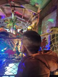 点击看大图 -恐龙探索乐园(磁器口店)