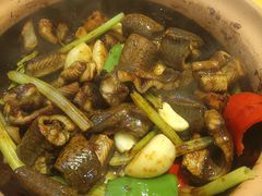 -天宝食坊·啫啫煲大排档(西华路店)