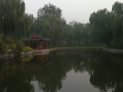 -万柳阁小馆·花园餐厅(龙潭湖店)