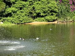 -泉州海丝野生动物世界