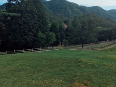 -神户市立六甲山牧场