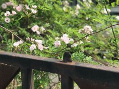 -南京航空航天大学(明故宫校区)