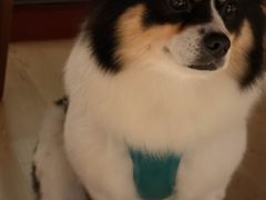 -学子推拿(苏果店)