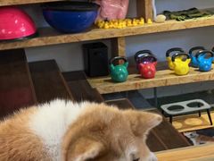 -YCHL Studios健身工作室(市二宫店)