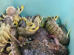 -班赞海鲜市场