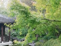 -秋霞圃