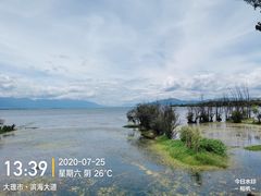 -野菌皇海景野生菌火锅(滨海大道店)