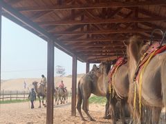 -库伦旗银沙湾旅游景区