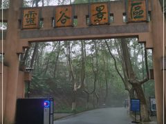 -灵谷景区